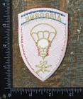 Us Army 152nd Airborne Anti-aircraft Artillery Aaa Battalion Patch