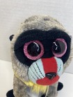 Ty Tysilk Beanie Boos 6  Wasabi Baboon Plush Monkey Stuffed Glitter Eyes  Read