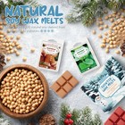 Salking Winter Scented Wax Melts  Christmas Soy Wax Cubes For Wax Warmer