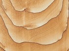 Big  Picture Stone Or Sandstone Slice And Or Slab From Southern Utah 726gr