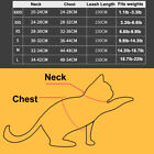 Mesh Padded Soft Cat Puppy Pet Dog Harness Breathable Comfortable Walking Leash