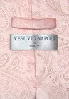 Vesuvio Napoli Peach Paisley Necktie And Handkerchief Matching Mens Neck Tie Set