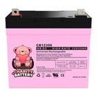  2  12 Volt 35 Ah Sla Battery- Charity Battery Brand Product
