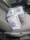 2500 Live Moina  Live Delivery Guaranteed  Free Shipping