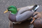 Cabela s Northern Flight Oversized Mallard Floaters Decoy 6pc Set    Never Used