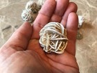 Selenite Desert Rose Crystals -  Very Nice Specimens  -  1 2  Pound   6 Crystals