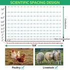 Portable Electric Poultry Netting Fence Nets Mesh 41 5  H X 164  L For Farms