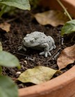 Realistic Sandstone Toad Statue  Decor For Garden  Aquarium  Terrarium   Feng   