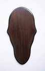 Deer European Skull Mount Face Plate Plaque Dark Oak Satin Finish 7 5x14 5