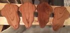 European Deer Skull Mount Plaque Oak W  Hanger  golden Oak 