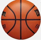 Wilson Men s Evolution Game Basketball  29 5   - Official Size Freeship 