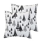  Merry   Bright Collecion - Northern Star - Euro Sham Set Of Two - Black  White
