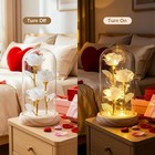 Gifts For Mom  Mothers Day From Husband Daughter Son  Birthday Women Wife Gifts 