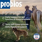 Probios For Horses Soft Chews  Daily Probiotic 1 32 Pound  pack Of 1   Brown