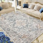 Area Rugs Machine Washable Rug For Living Room Bedroom  Vintage Distressed 