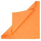 Chamois Polish Cloth - Violin Viola Cello Guitar Instrument - 12x12in  Orange
