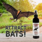 All-natural Bat-nip    Pheromone Spray  4 Fluid Ounces Bat House Attractant Spray