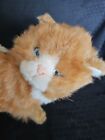 Avanti Baby Animals Plush Orange Tabby Kitten   1025 Applause 1985