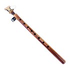 Special Electric Acoustic Armenian Duduk Instrument Edk-4