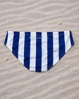 Navy Stripe Swim Briefs