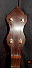 Antique Tenor Banjo Bird s Eye Maple Resonator