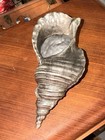 Vintage Silver Decorative Art Decor 14    Conch Shell