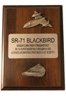 Sr-71 Blackbird  super Skater  Crash Fragment Mounted Plaque-highly Collectable