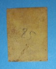   1852 Duchy Of Parma Italy Crowned Shield Bourbon Lily  1 A1 5c Imperf  Used