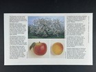 Canada Fdc 1995 Trees   Flowers Horse Chestnut Block Of 4 Wineland 71c