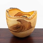 Ken Whitten Hand Turned Aspen Wood Burl Bowl Alaskan Artist Signed
