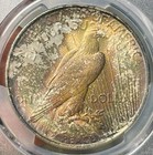 1922 Peace Dollar Pcgs Ms-65 Rainbow Toned 