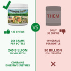 Probiotic For Dogs - 6 Strains Of Probiotics   Enzyme Blend  Made Usa