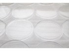 Guardhouse Silver Eagle 40mm Direct Fit Coin Capsules  50 Pack
