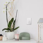 Legrand Adorne Pop-out Outlet With Gloss White Wall Plate Awp1g2wh6