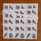       otters In Snow  Pane Of 20 Stamps  mnh 