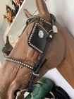 Biothane Horse Harness Driving Headstall Full Size Studded Ships Free
