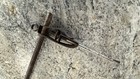 Antique Edison Phonograph Horn Arm -original Horn Support For Cylinder Player