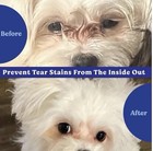 2 Pack Angels  Eyes Natural Tear Stain Prevention Soft Chews For Dogs  180 Count