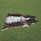 100  Real Natural Area Cow Hair On Cowhide Skin Floor Rug Carpet 70 x62   Cc1400
