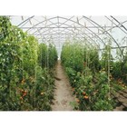 String Reinforced 4 Year Uv Resistant 10 Mil Clear Greenhouse Plastic Sheeting