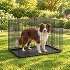 Sweetcrispy 42 In Dog Crate Medium Large Dog Cage Foldable Metal Pet Kennel