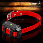 Garmin Pt10 Additional Dog Device Red Collar Strap - Sport Pro  Pro 70  Pro 550