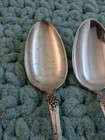 1847 Rogers Bros Vintage Grape Vine Silverplate Set Of 5 Teaspoons 5 7 8 