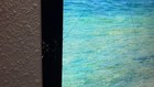 Apple Studio Display 27  Fully Operational  Cracked Screen