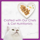 Purina Fancy Feast Gourmet Wet Cat Food Variety Pack  Petites Gravy Collection 