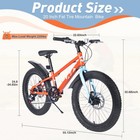 Kids Mountain Bike 20 Inch Wheel Dual Disc Brake Kids Bicycle Fat Tire Orange