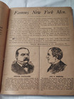 Antique 1800s Quack Medicine Cures Paine s Celery Compound Nerve   Brain Restore