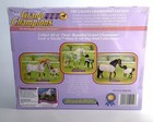 Grand Champions Fnn Feed Nuzzle Andalusian Mare   Foal First Steps New Mib
