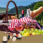 T-shaped Cork Stoppers For Wine Bottles  Cork  Wine Stopper  Reusable Stoppers