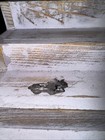 Small Vintage Solid Pewter Minature Horse Figurine